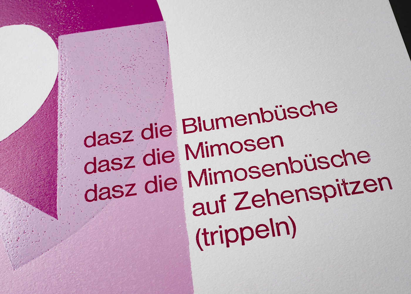 dasz – Bild 4